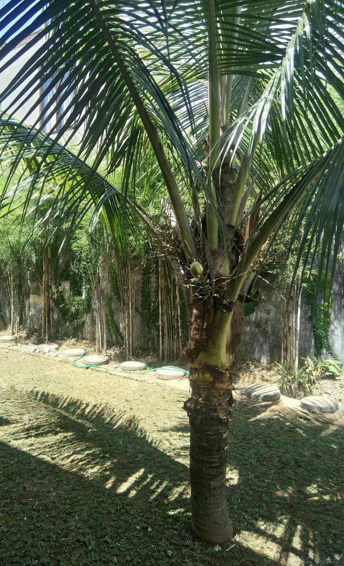 Sayan Ubud Guest House Exterior foto